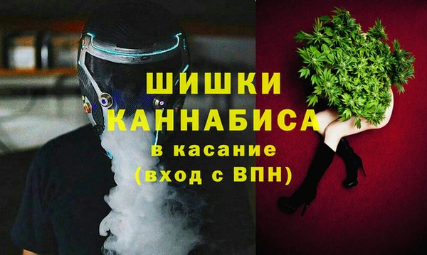 дмт Белокуриха